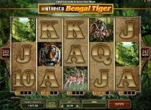Have Friendship With Untamed: Bengal Tiger And Full Your Bag